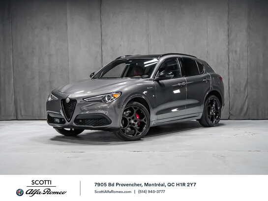 Alfa Romeo Stelvio VELOCE 2023 Gris